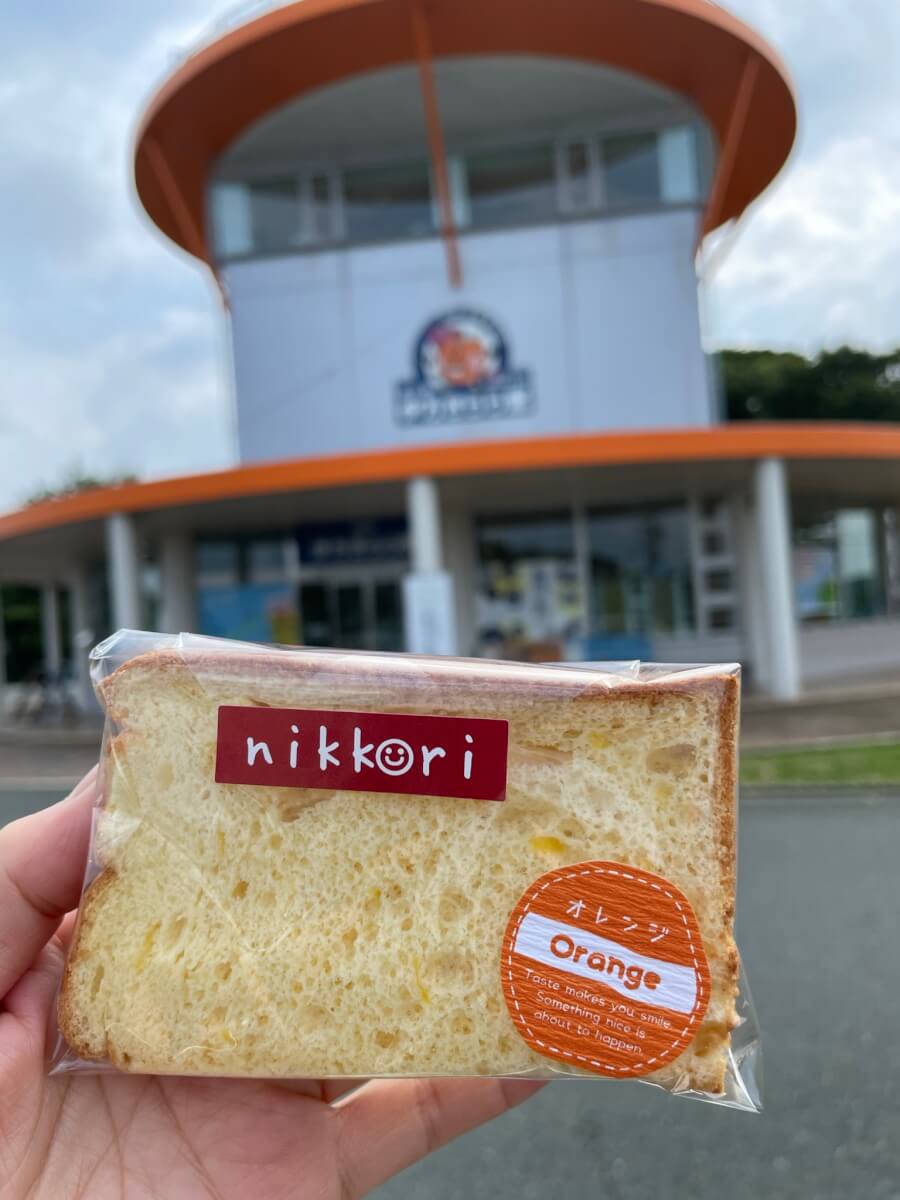 大分からなら四国へツーリングも楽しい！