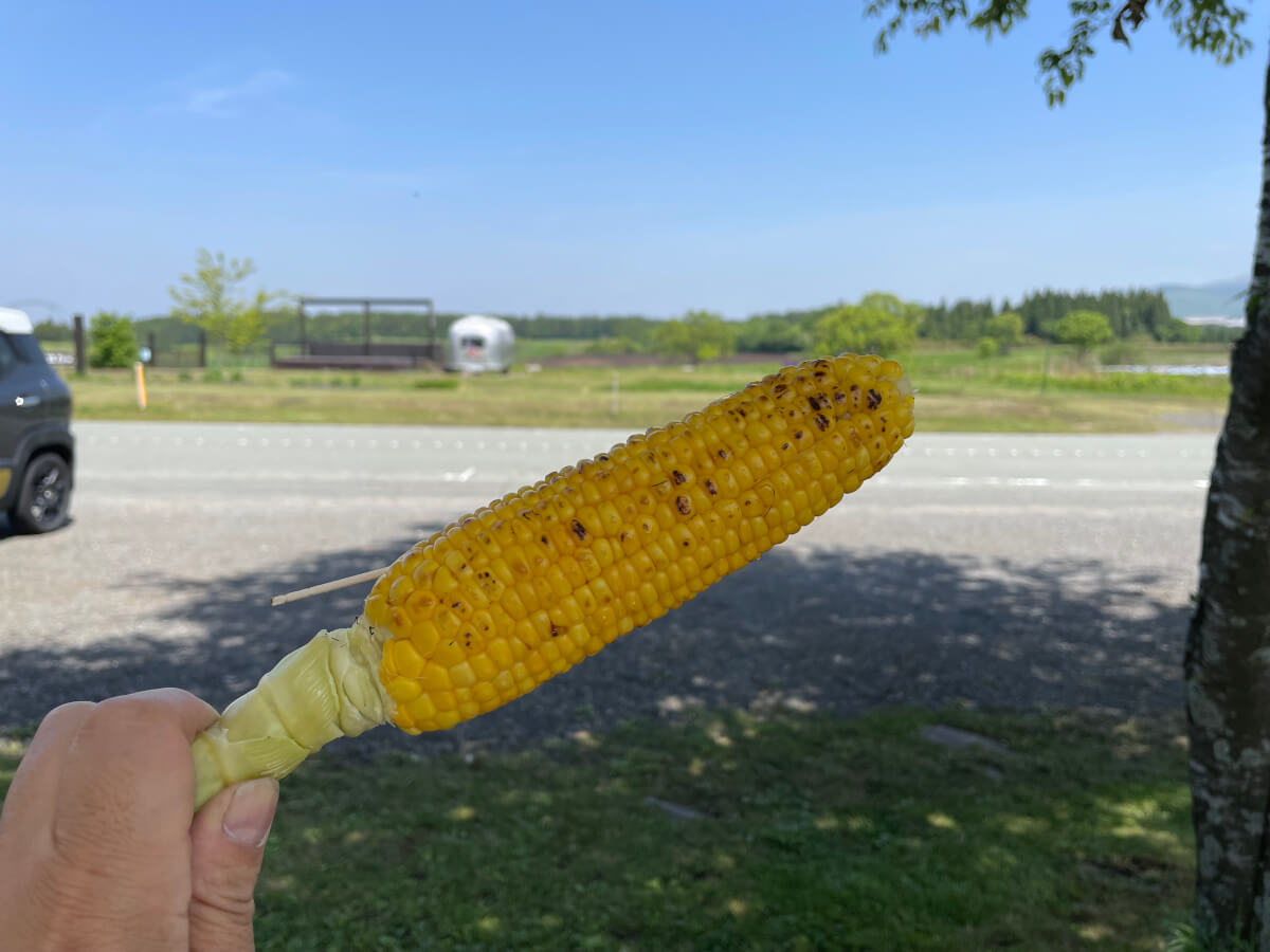 九州阿蘇のバイクシーズンが到来！最高のツーリング体験を