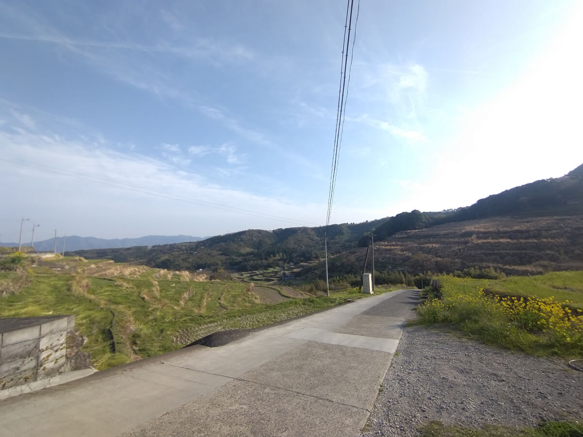 内成棚田に行ってきました
