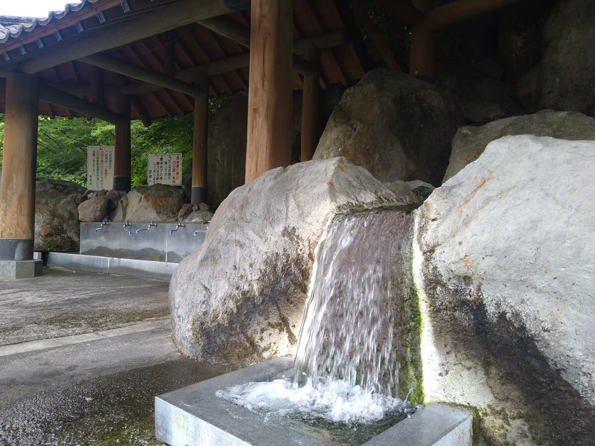 涼しい場所を探して