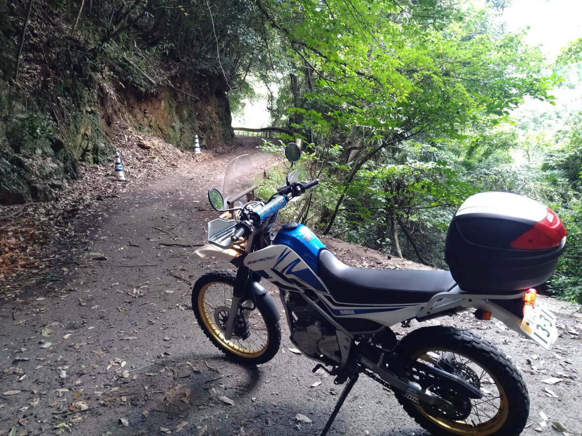 県道４１号線
