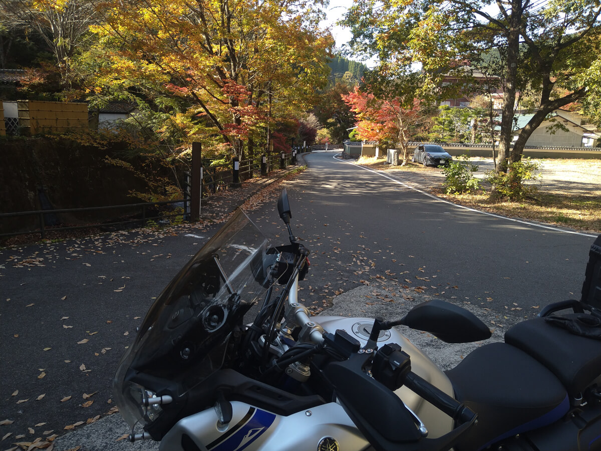秋のバイクシーズン真っ盛りです